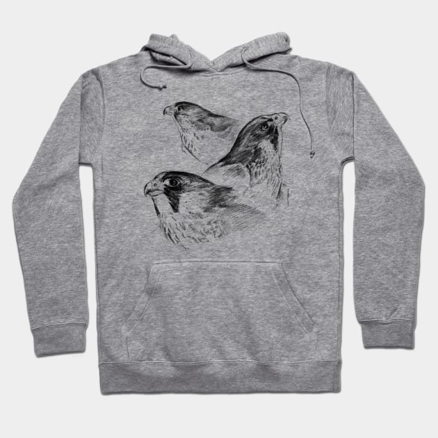 Three Peregrines Art Sketch Hoodie by RebeccaLatham